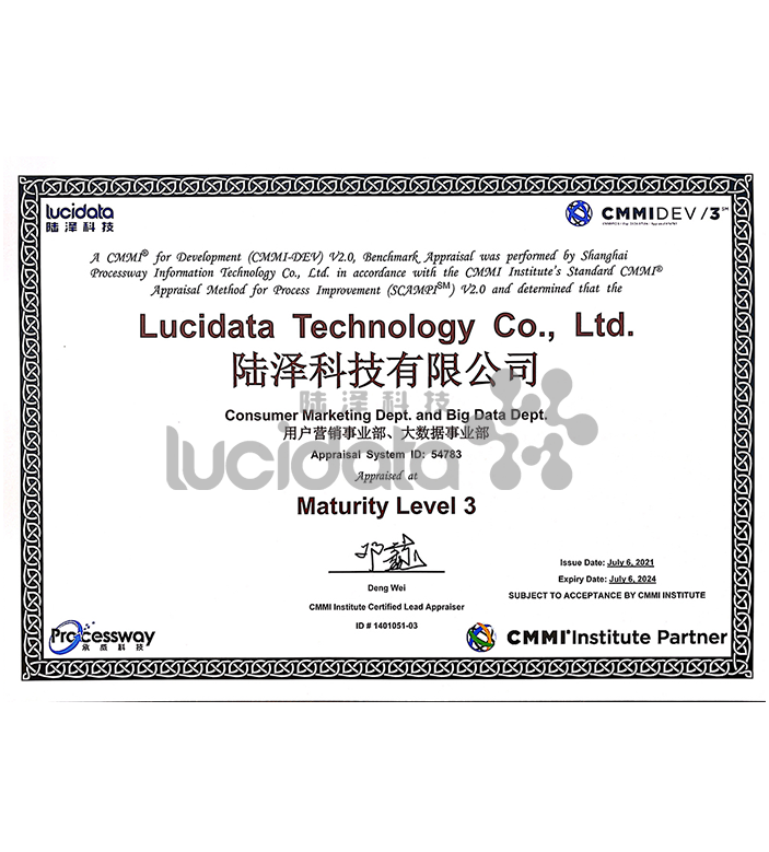 CMMI3（软件能力成熟度-三级）