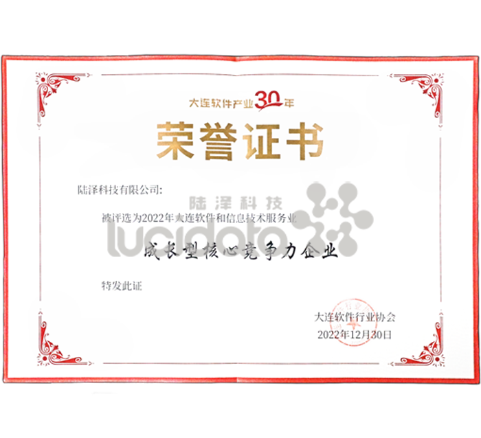 成长型核心竞争力企业