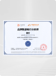 陆泽科技-专业运营团队